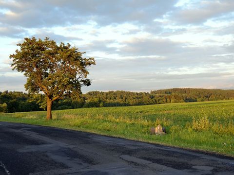 Foto 18